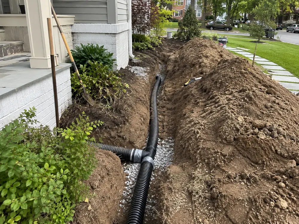 Drainage